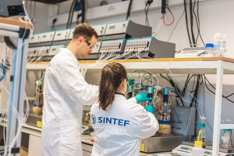 Artificial intelligence is accelerating the development of new materials
